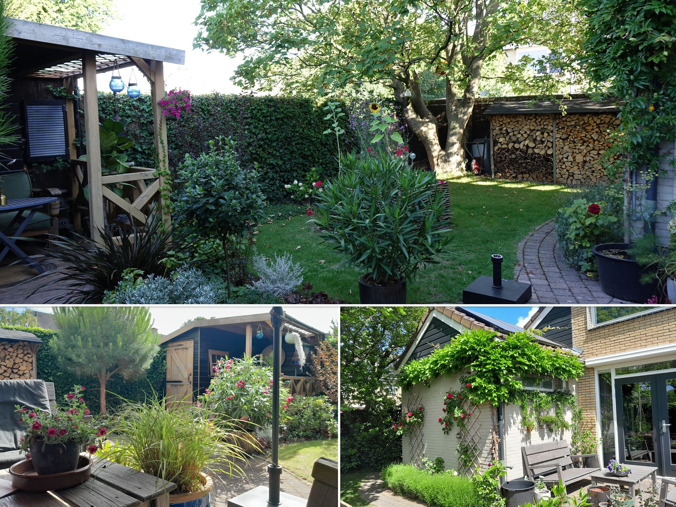 Foto 39 van Vergulde Draeckweg 11