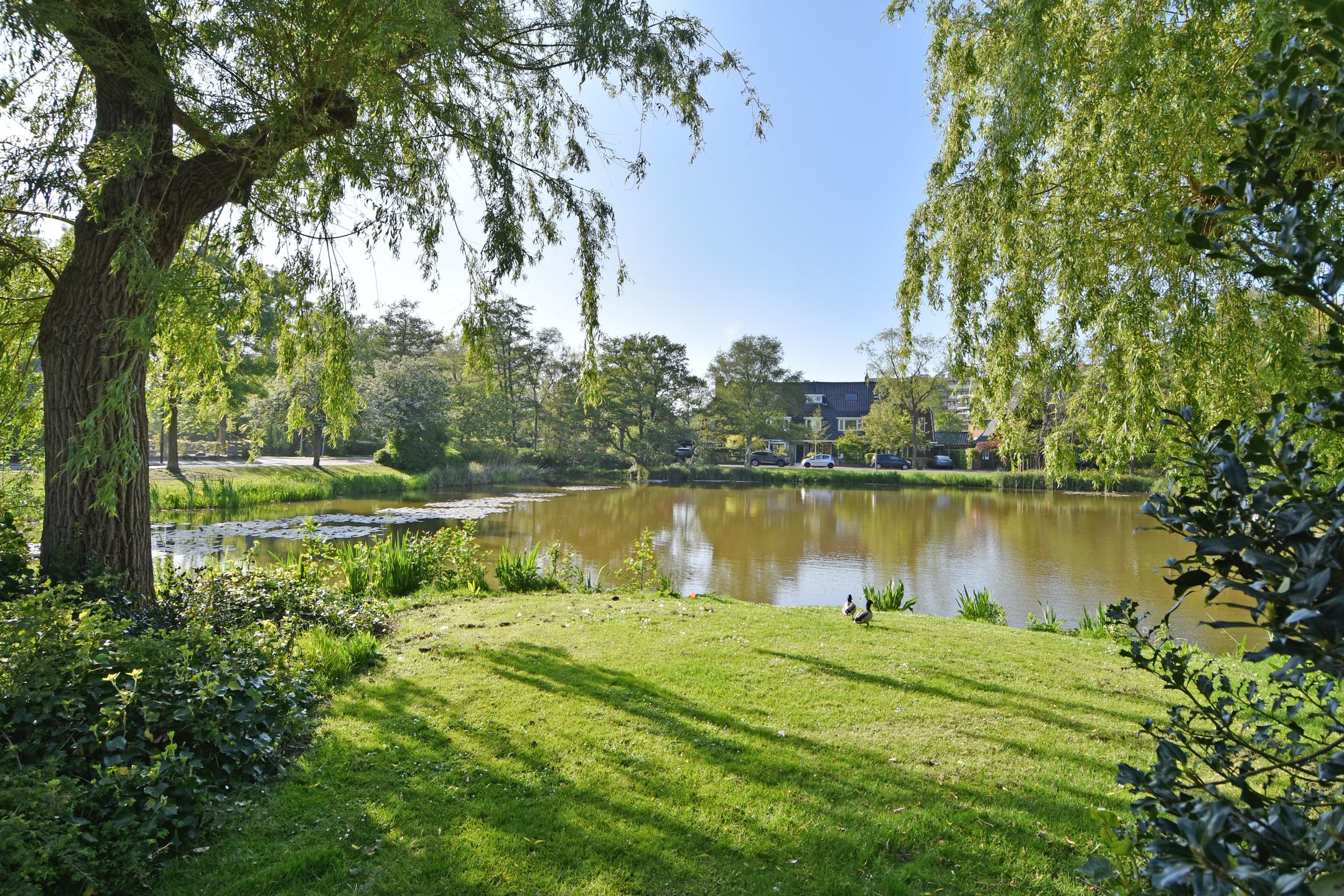 Foto 3 van Vijverhof 1