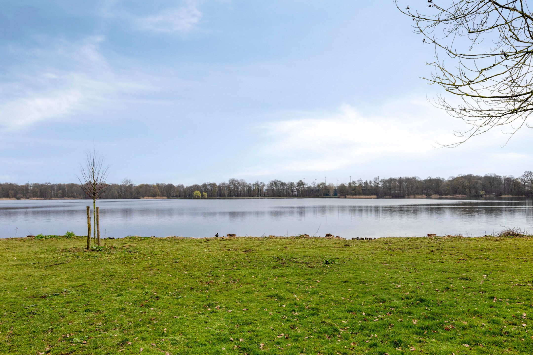 Foto 30 van Neerstraat 121