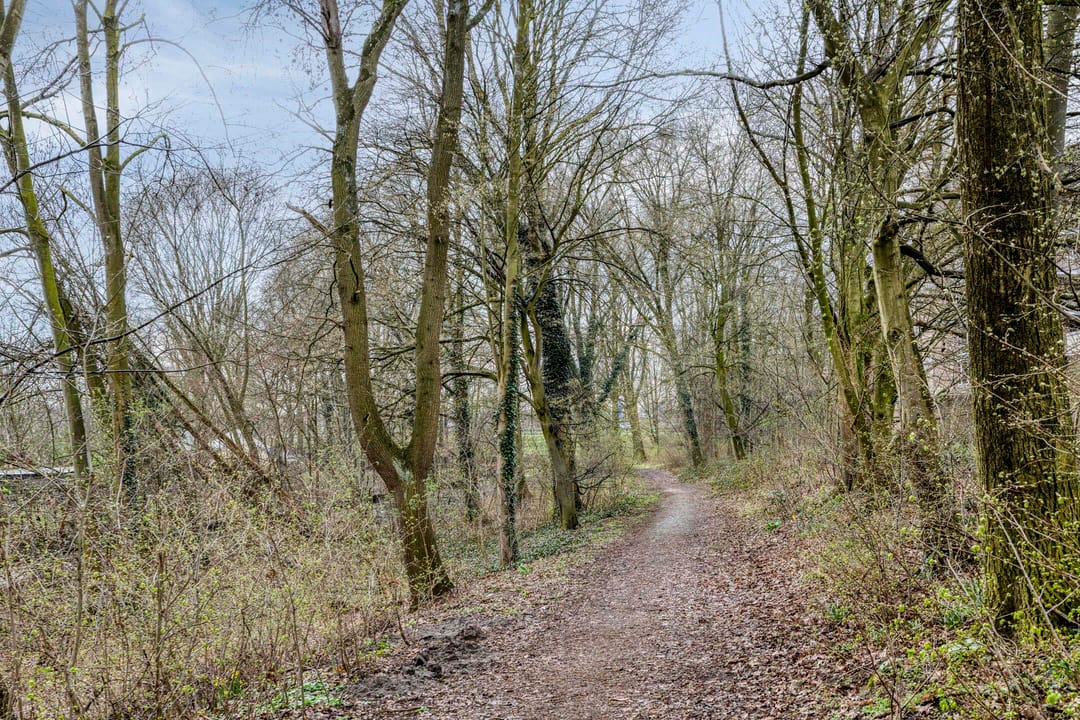 Foto 31 van Neerstraat 121