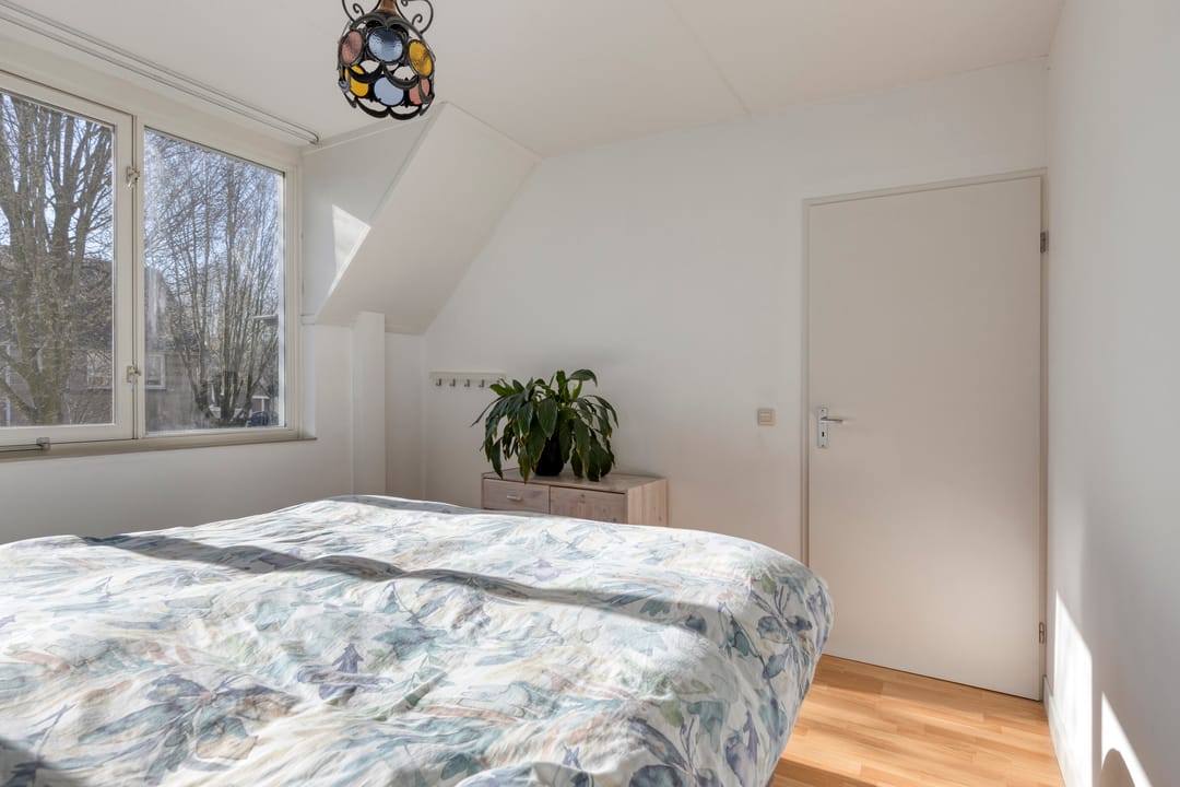 Foto 23 van Dommel 10