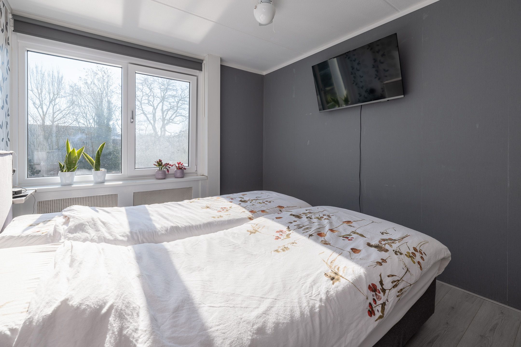 Photo 18 of Schimmelpennincklaan 22