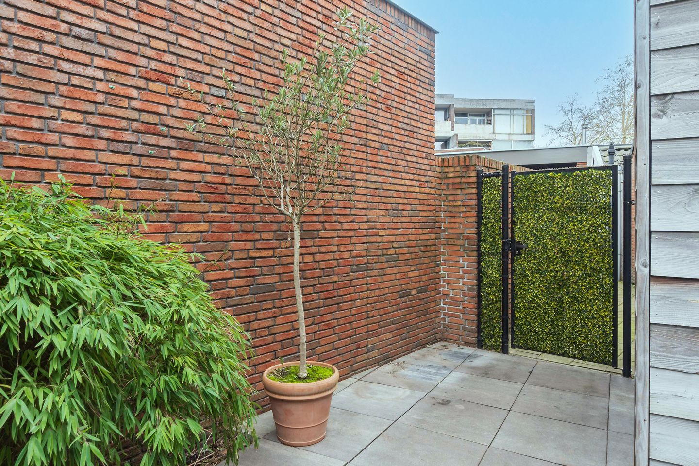 Foto 44 van Piusstraat 323