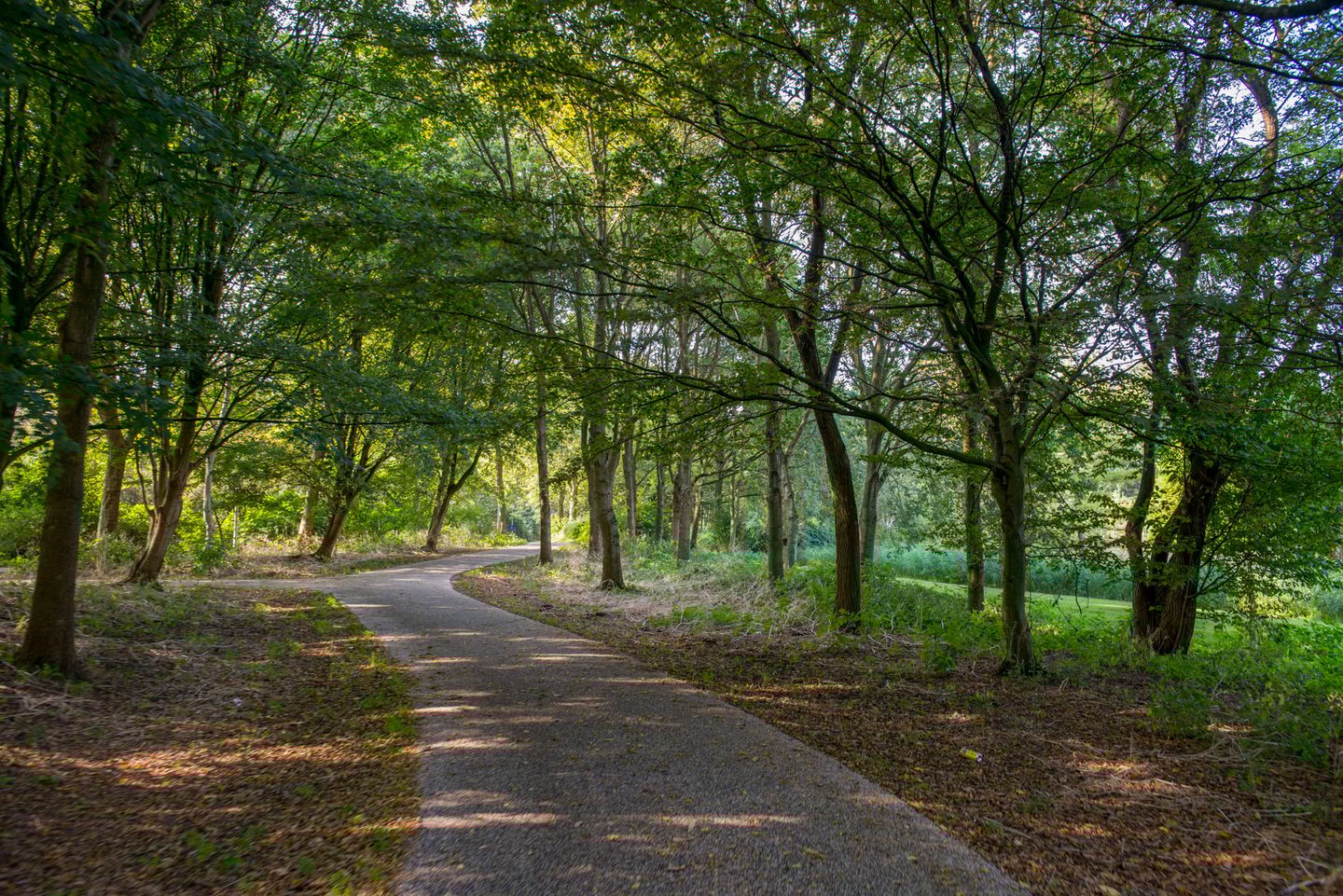 Photo 25 of Hofgeest 32