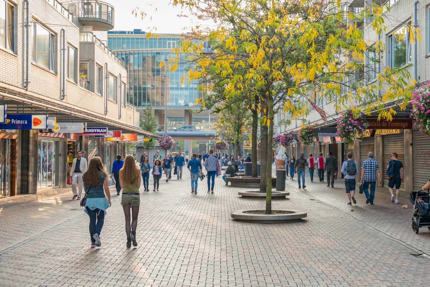 Photo 29 of Hofgeest 32