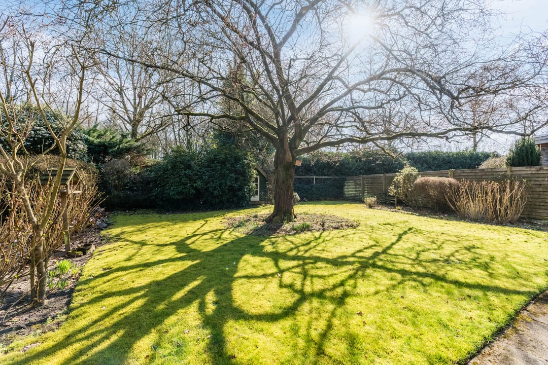 Photo 23 of Dollarhof 11