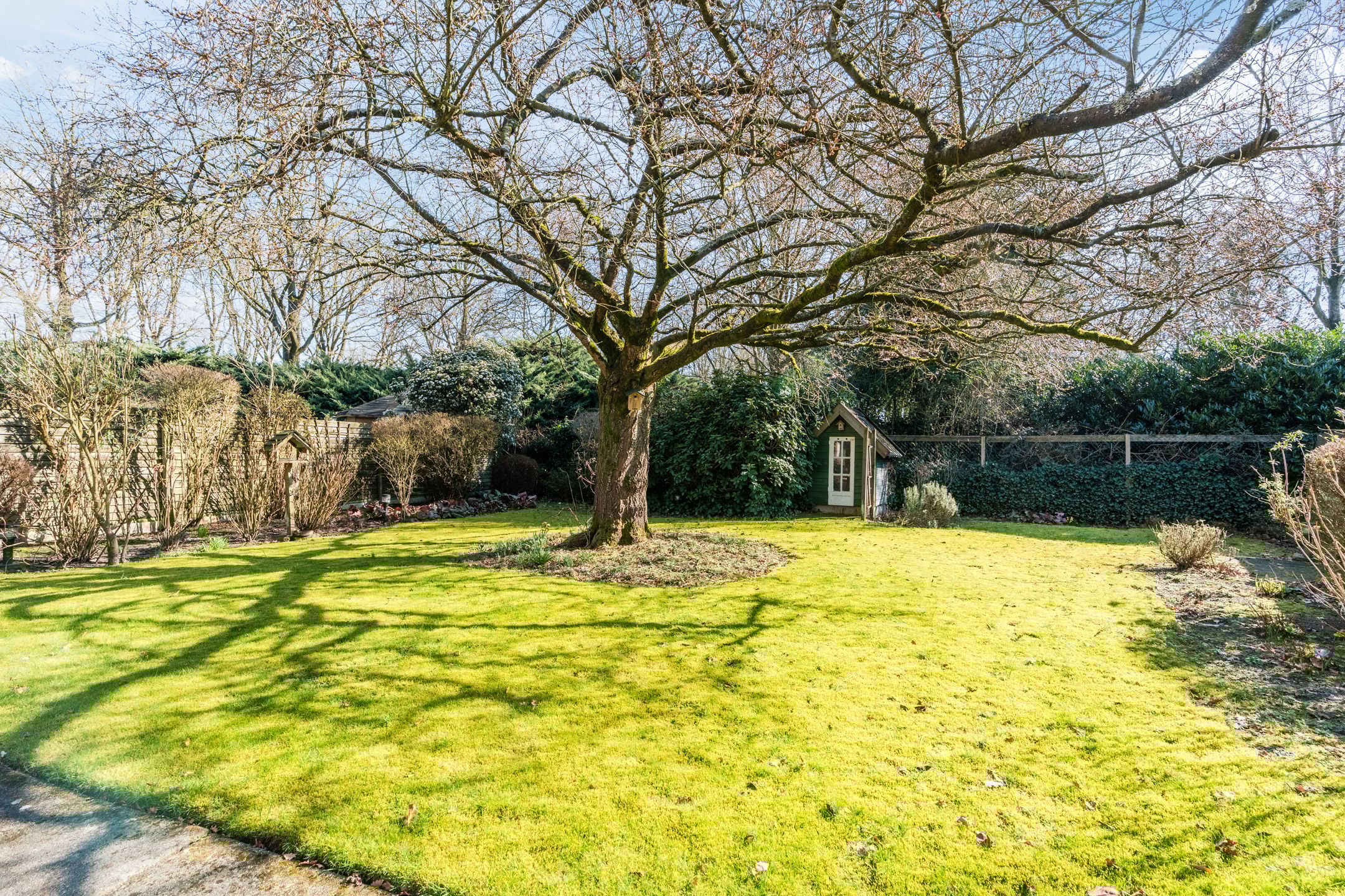 Photo 24 of Dollarhof 11