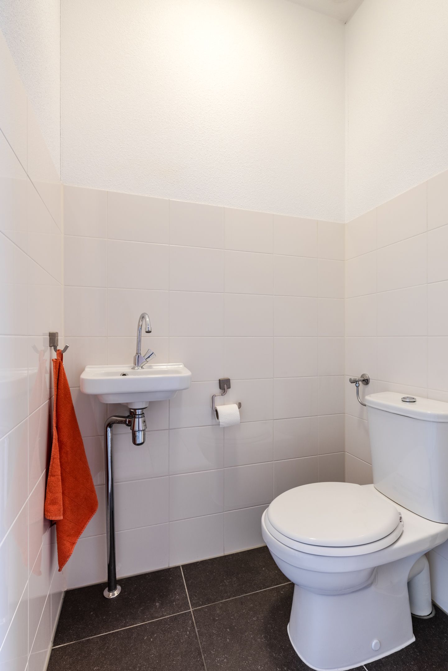 Photo 9 of Vogelwikke 9