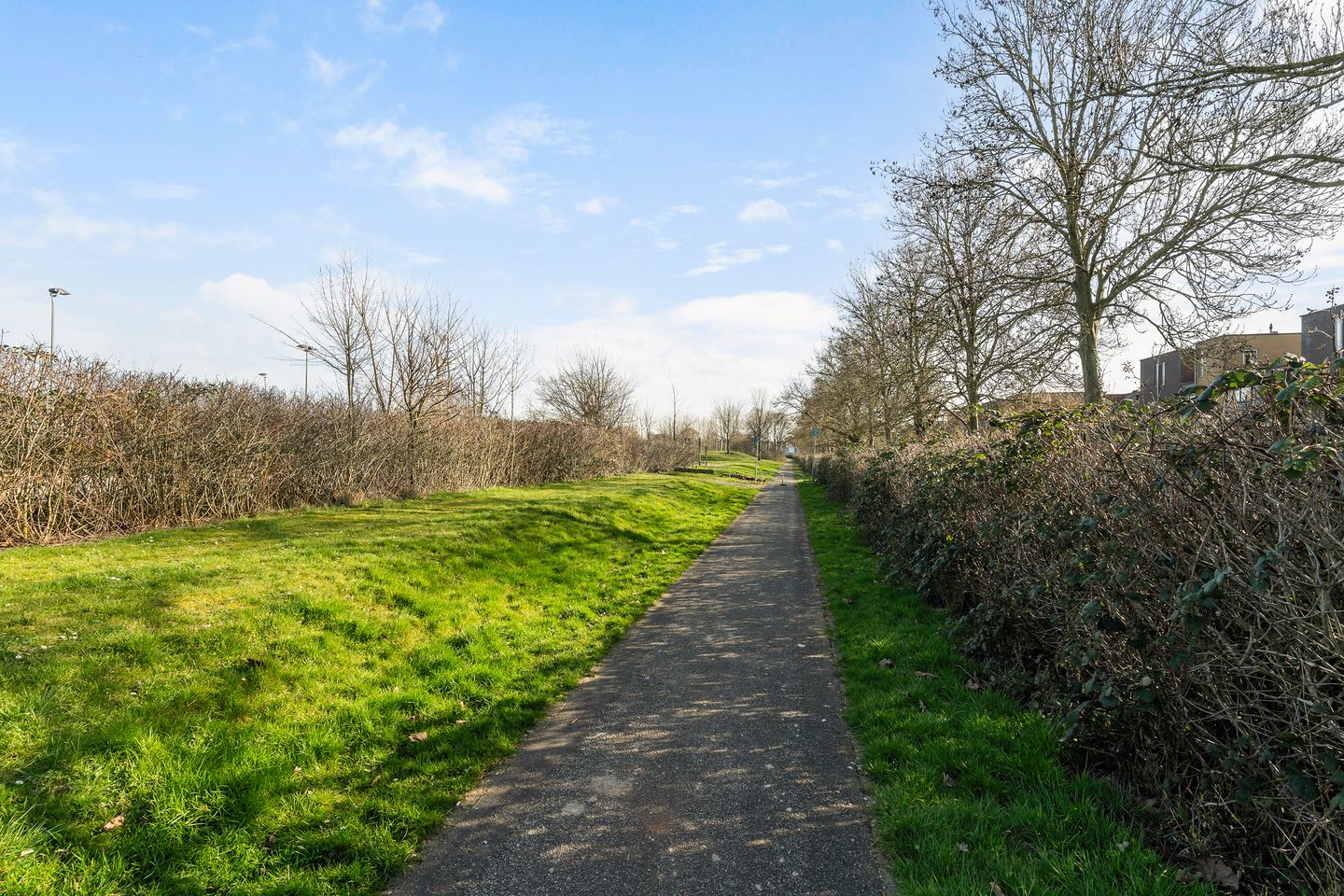 Foto 35 van Strijplaan 397