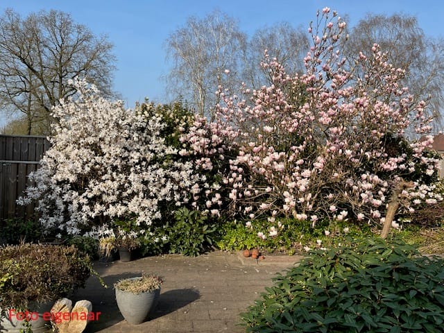 Photo 53 of Majoraan 5