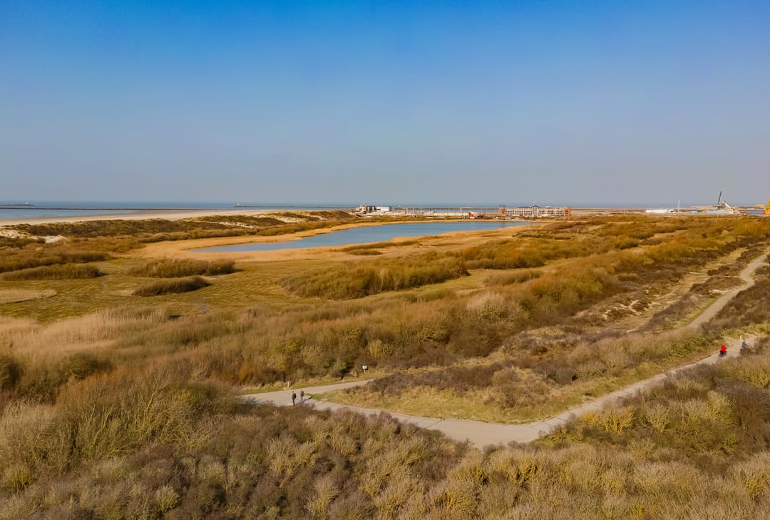 Foto 8 van IJmuiderslag 41