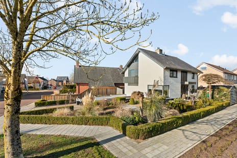 Bruno van Ommenstraat thumbnail