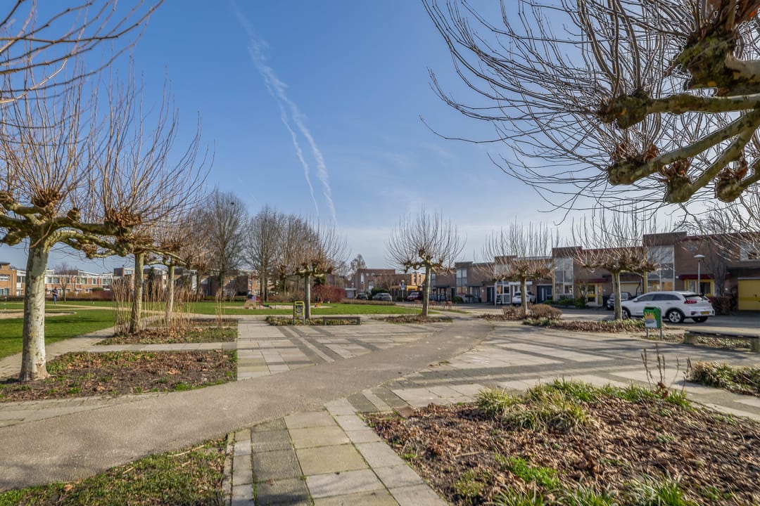 Foto 46 van Sprookjesbosch 69