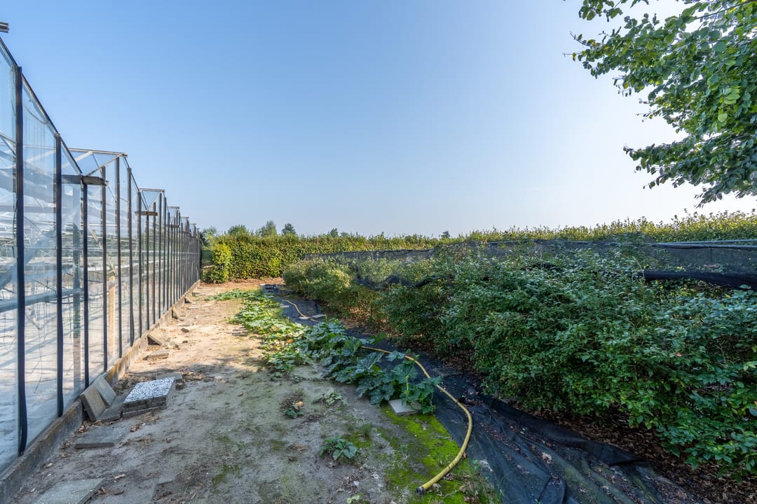 Photo 8 of Hoekstraat 7