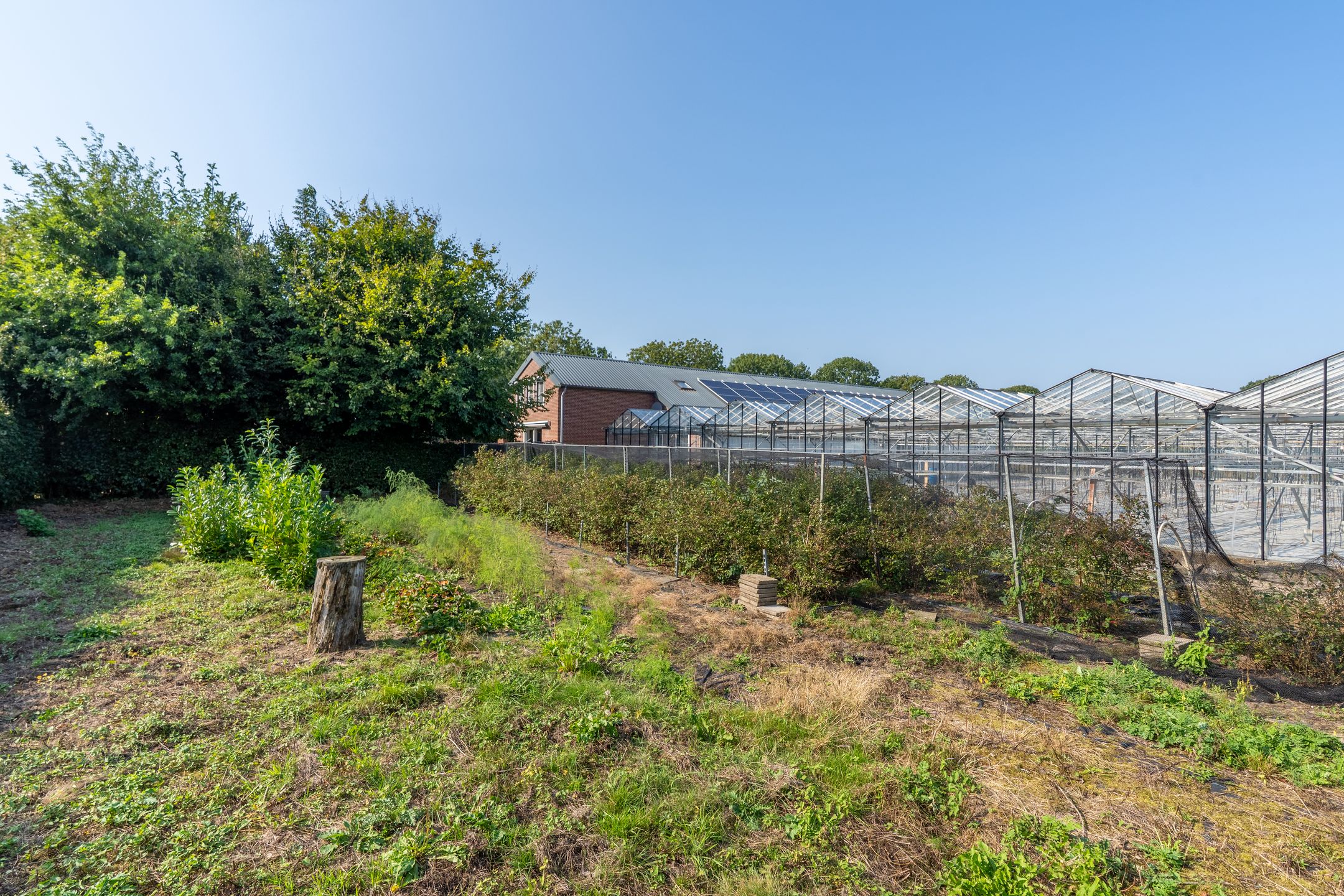 Photo 9 of Hoekstraat 7