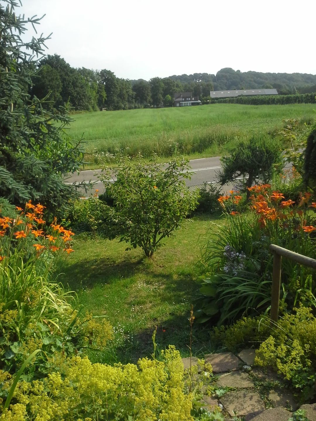 Foto 38 van Lange Raarberg 6