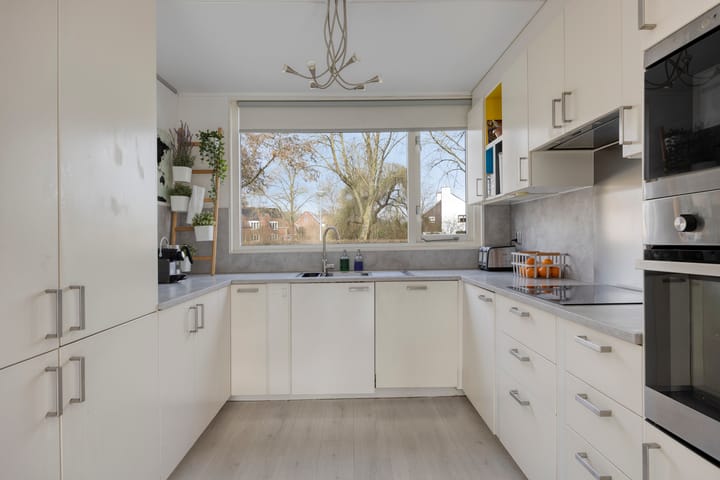 Foto 4 van Agnietenhove 52