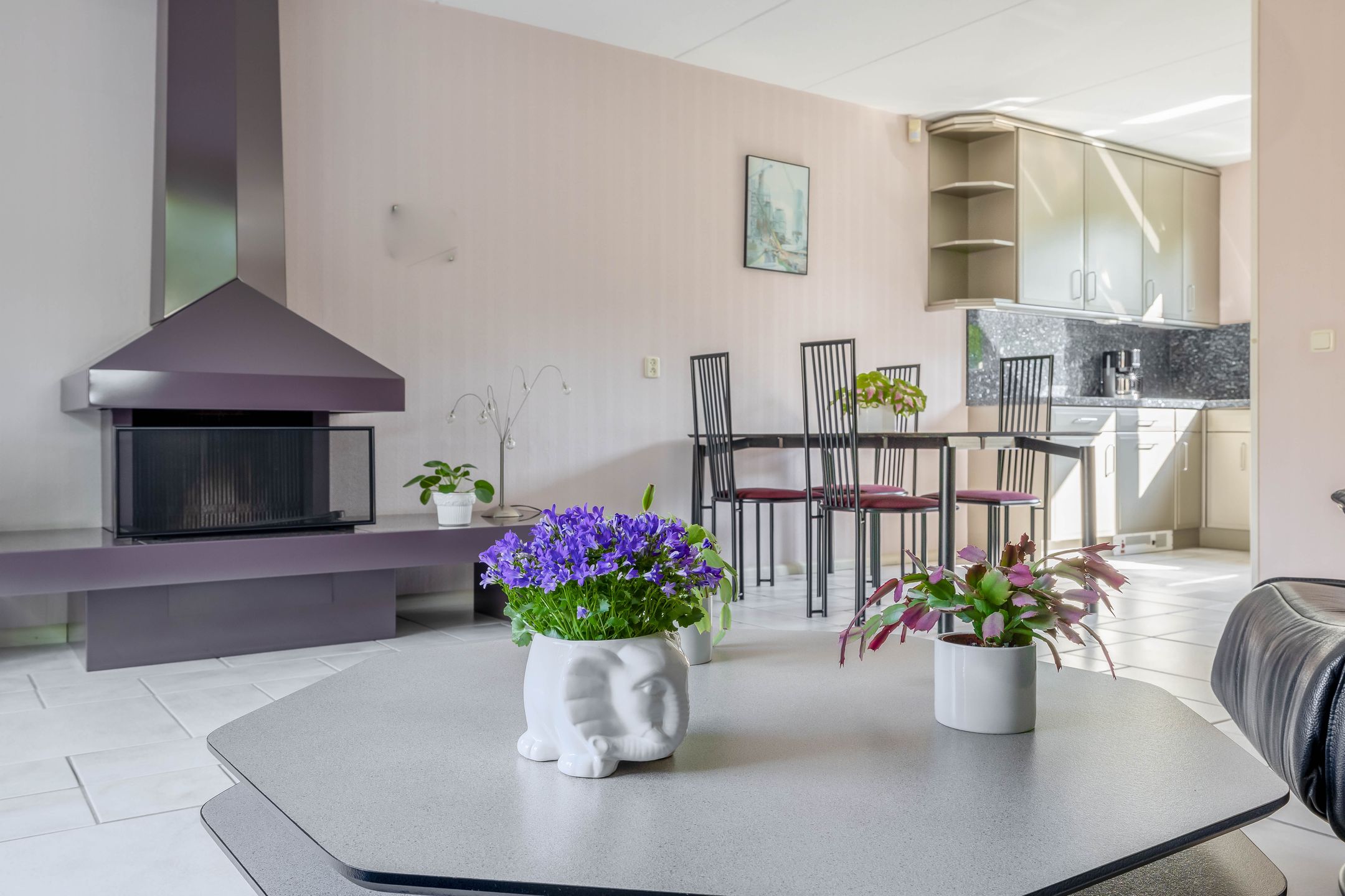 Foto 12 van Clazina Kouwenbergzoom 177