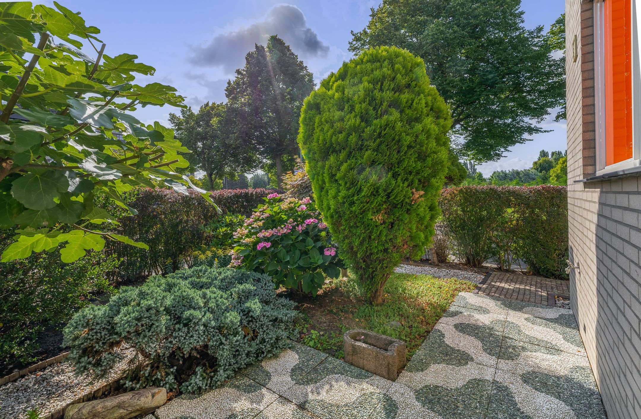 Foto 39 van Clazina Kouwenbergzoom 177