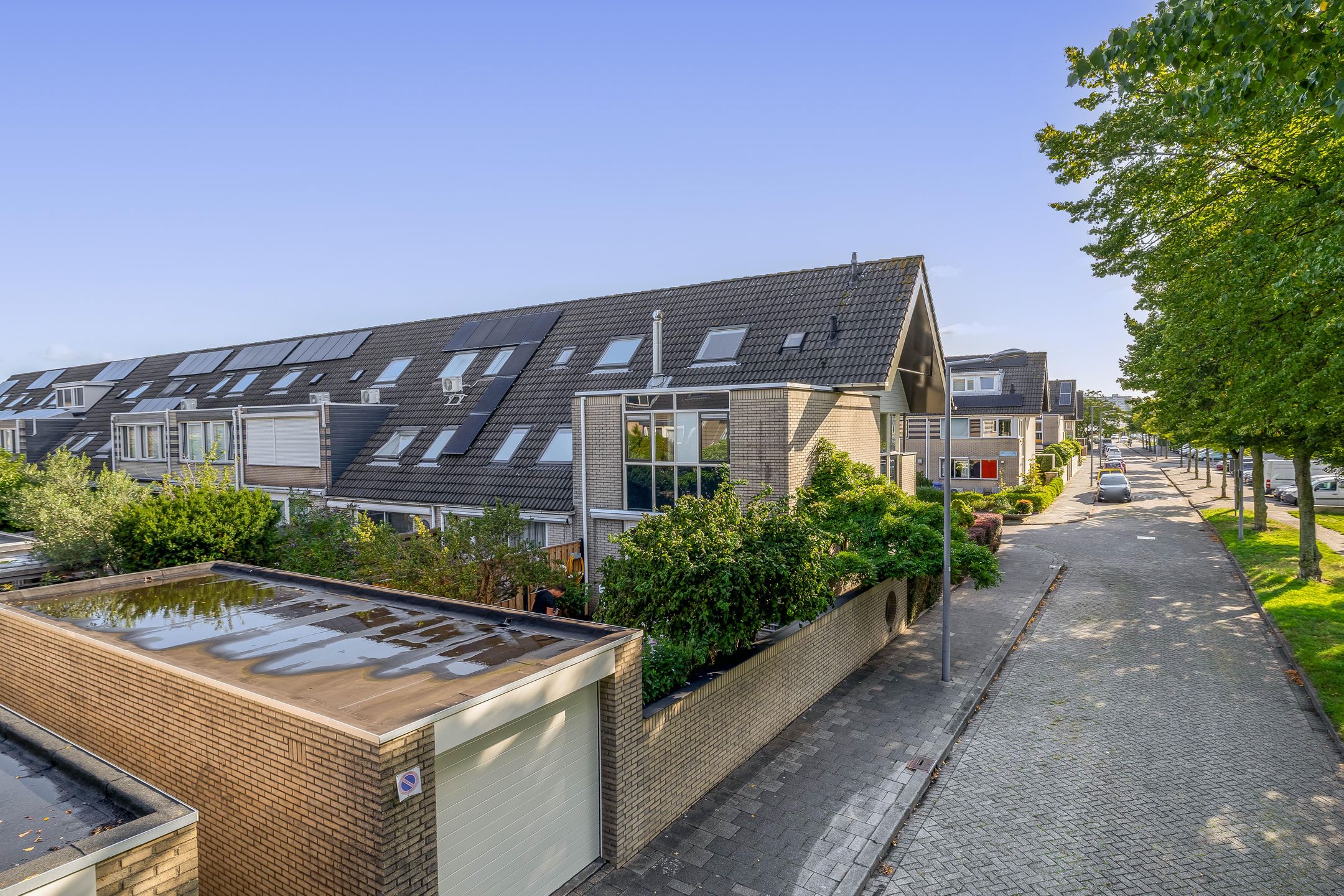 Foto 45 van Clazina Kouwenbergzoom 177