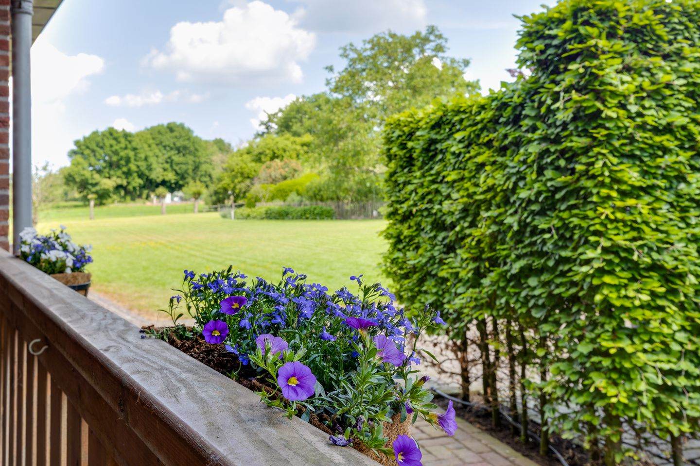 Foto 85 van Terborgseweg 14-D