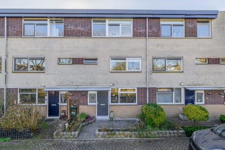 Botterstraat thumbnail