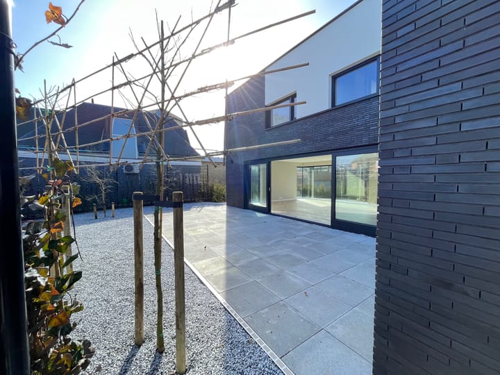 Foto 3 van de Bontekoe 4