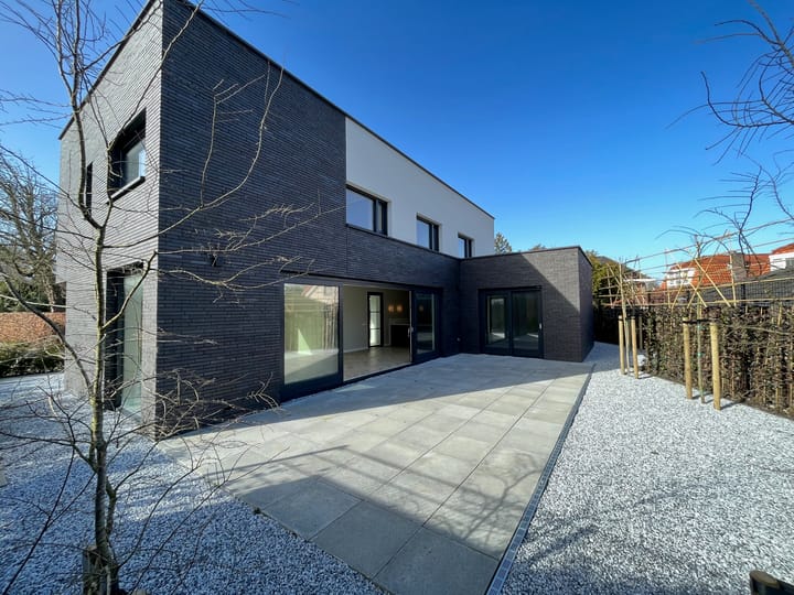 Foto 2 van de Bontekoe 4