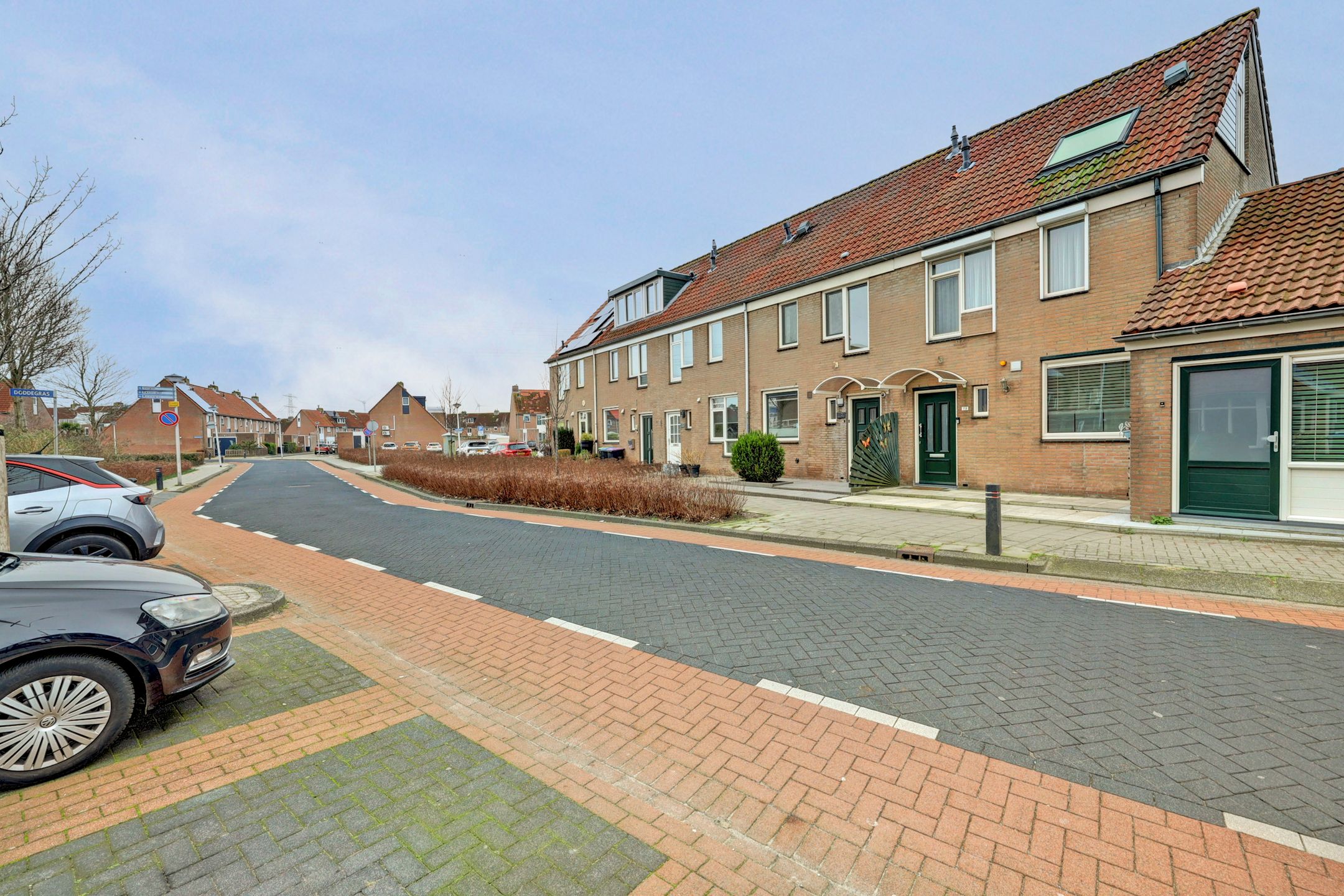 Foto 33 van Buntgras 120