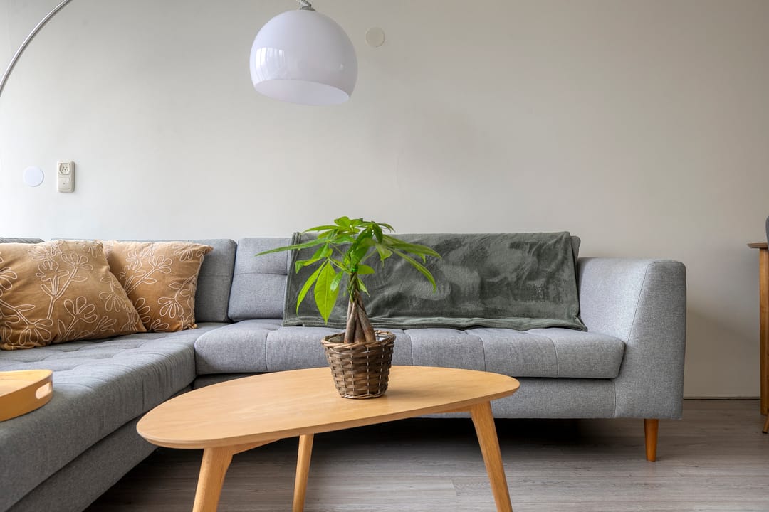 Foto 13 van Het Hoogt 4