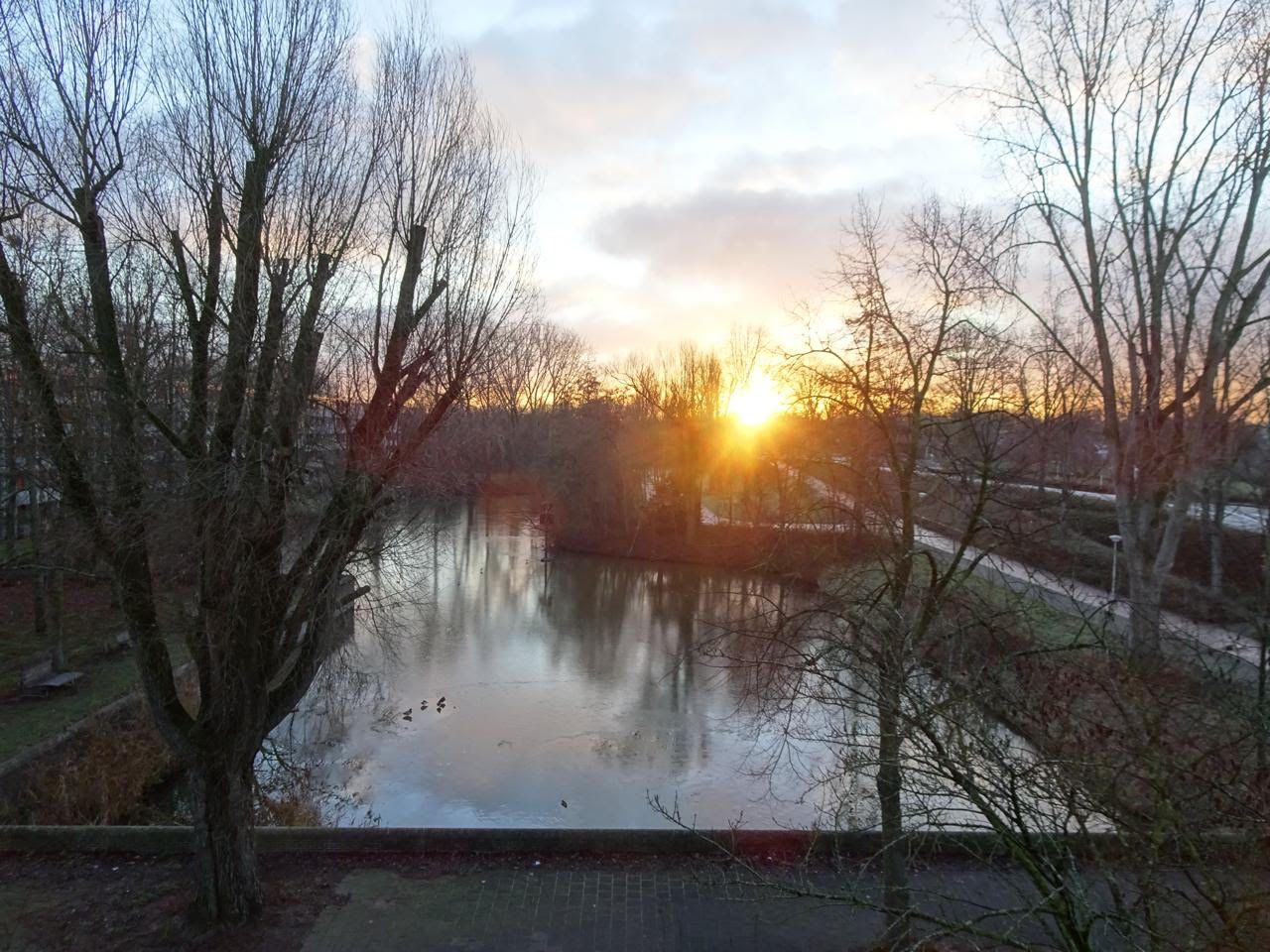 Foto 33 van Het Hoogt 4