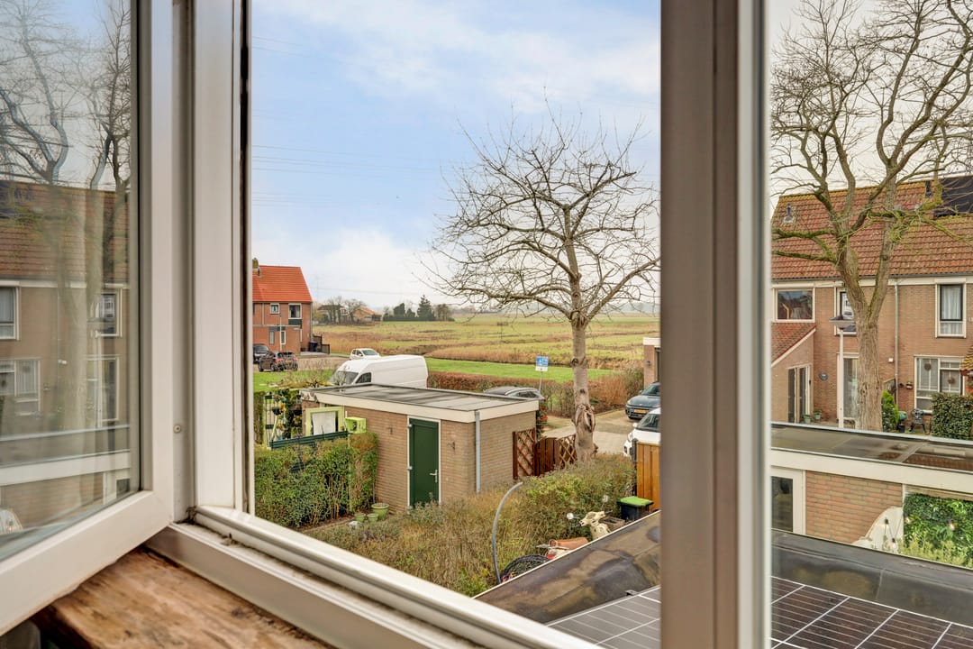 Foto 31 van Buntgras 120