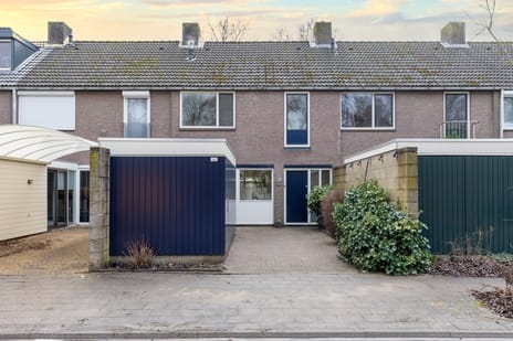 undefined main image