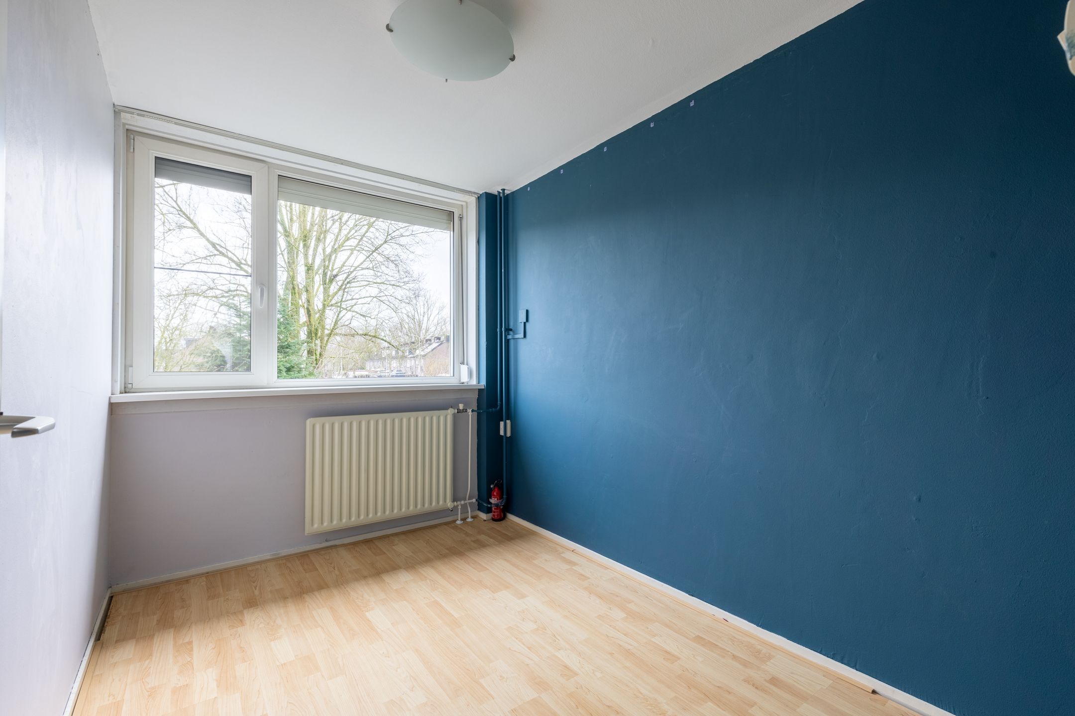 Photo 15 of Naaldwijkstraat 21