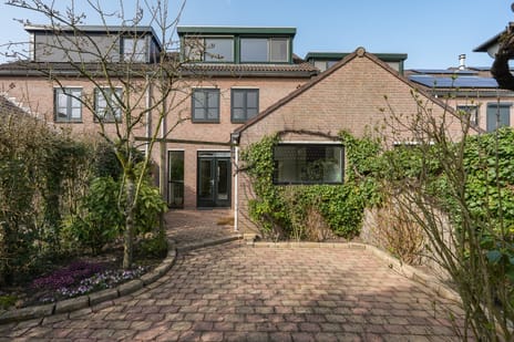 undefined main image