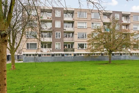 Ruygeplaat thumbnail