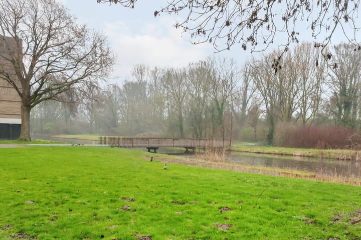 Foto 2 van Ruygeplaat 155