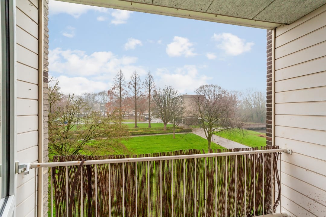 Foto 22 van Ruygeplaat 155