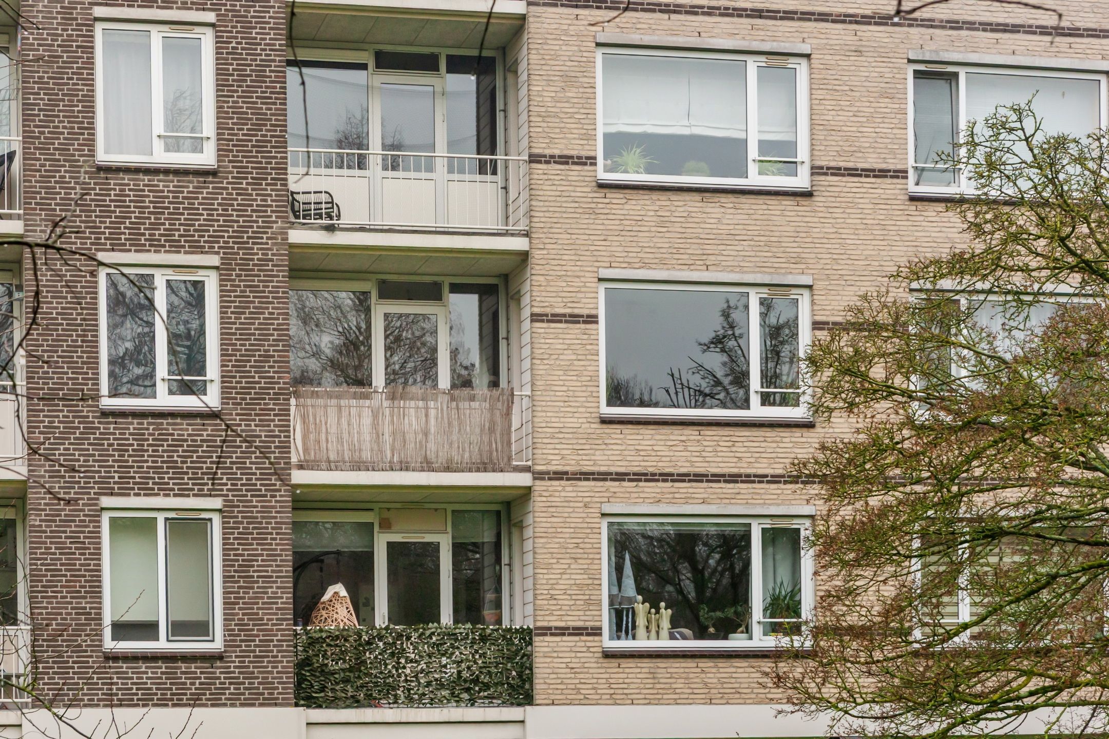 Foto 27 van Ruygeplaat 155