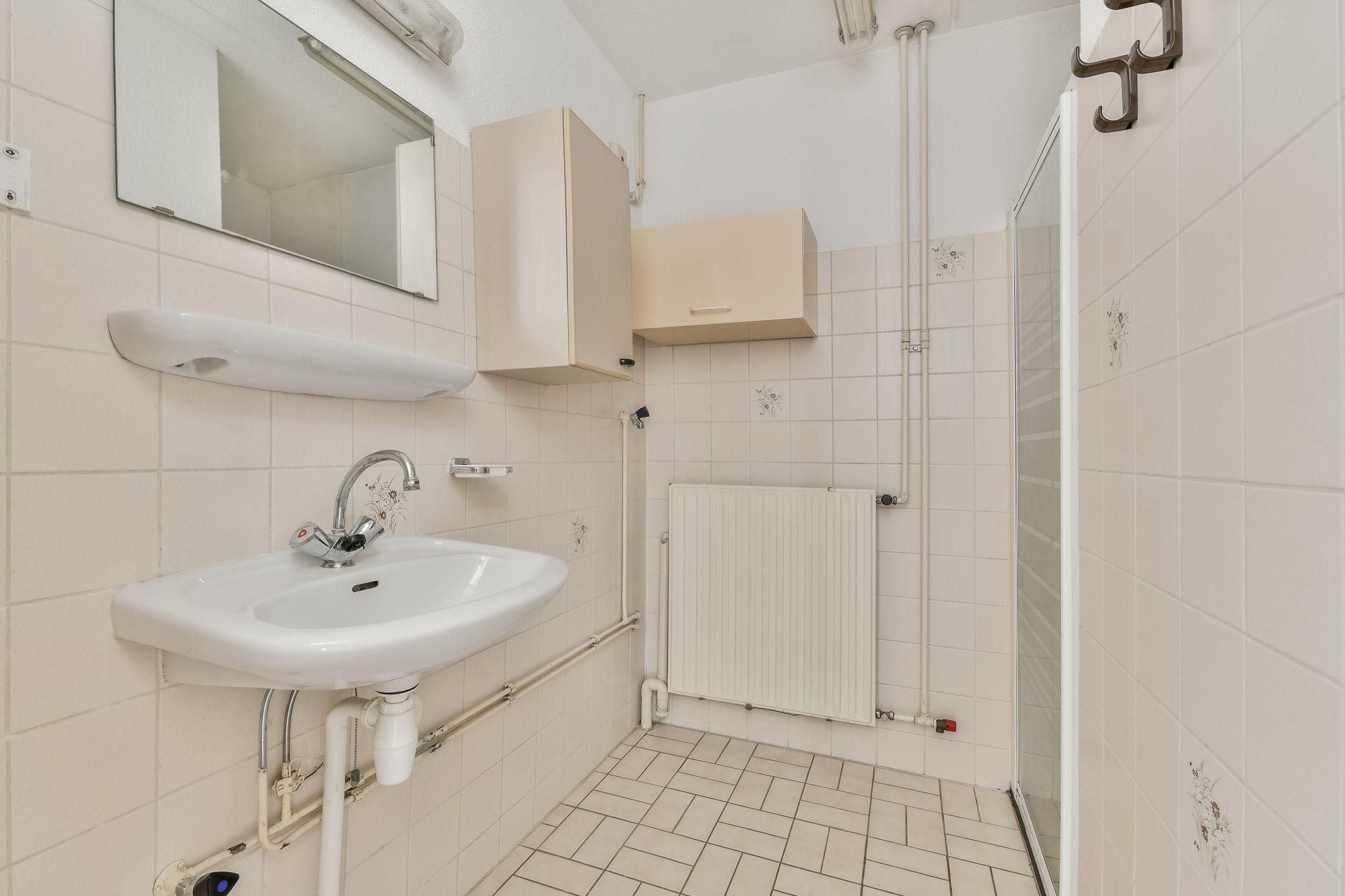 Photo 12 of Zilverschoon 9