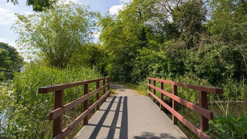 Foto 28 van Jan Luykenlaan 76