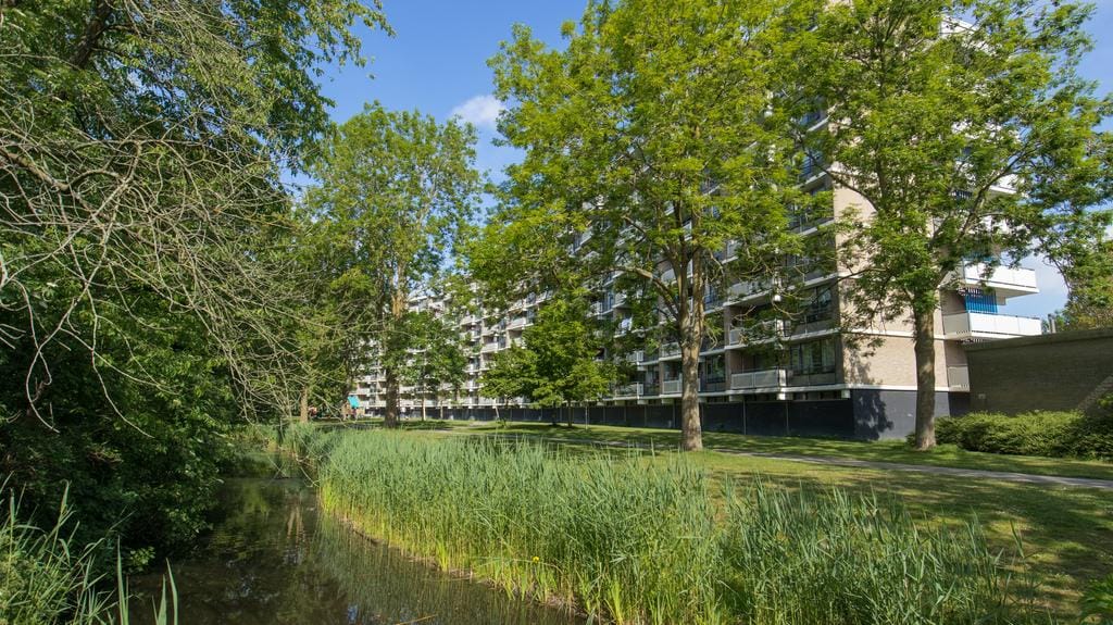 Foto 29 van Jan Luykenlaan 76