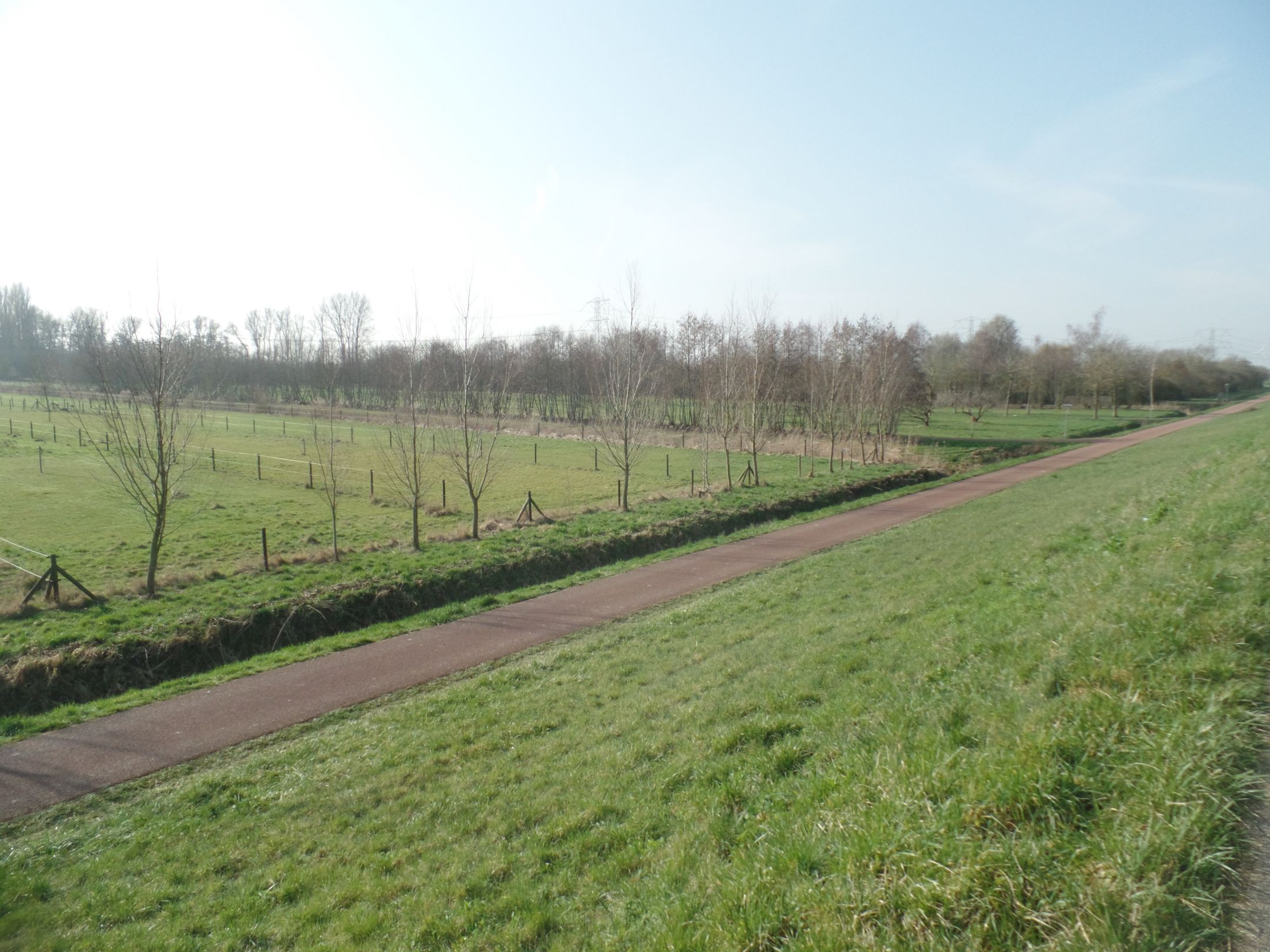 Foto 21 van Vredenburg 82