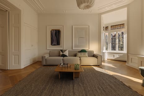 Van Baerlestraat thumbnail