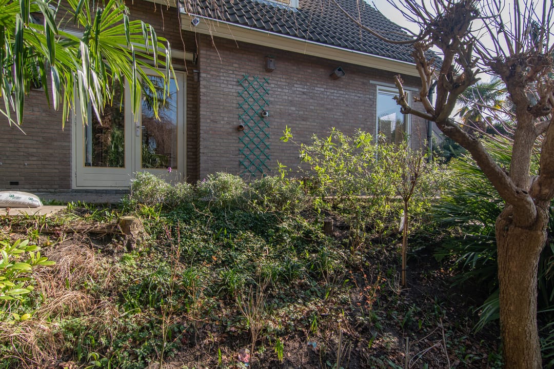 Photo 56 of Pinaskade 23