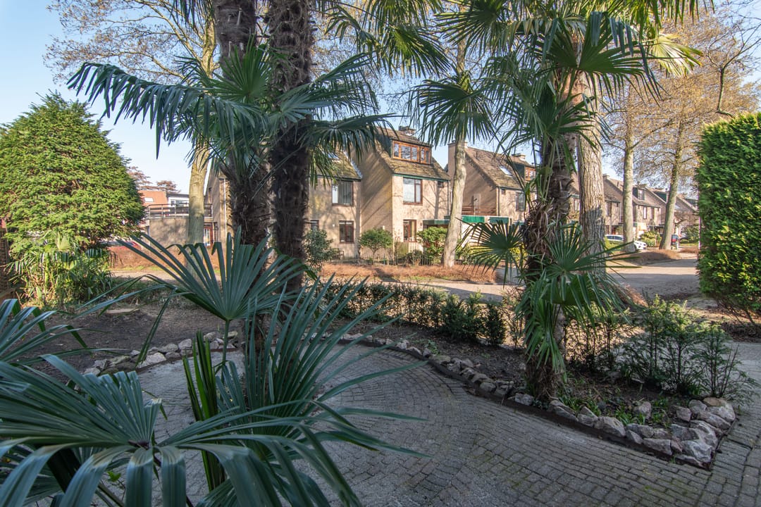 Photo 61 of Pinaskade 23