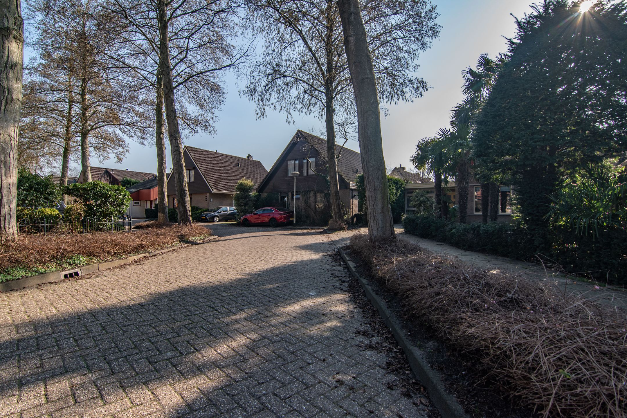 Photo 63 of Pinaskade 23