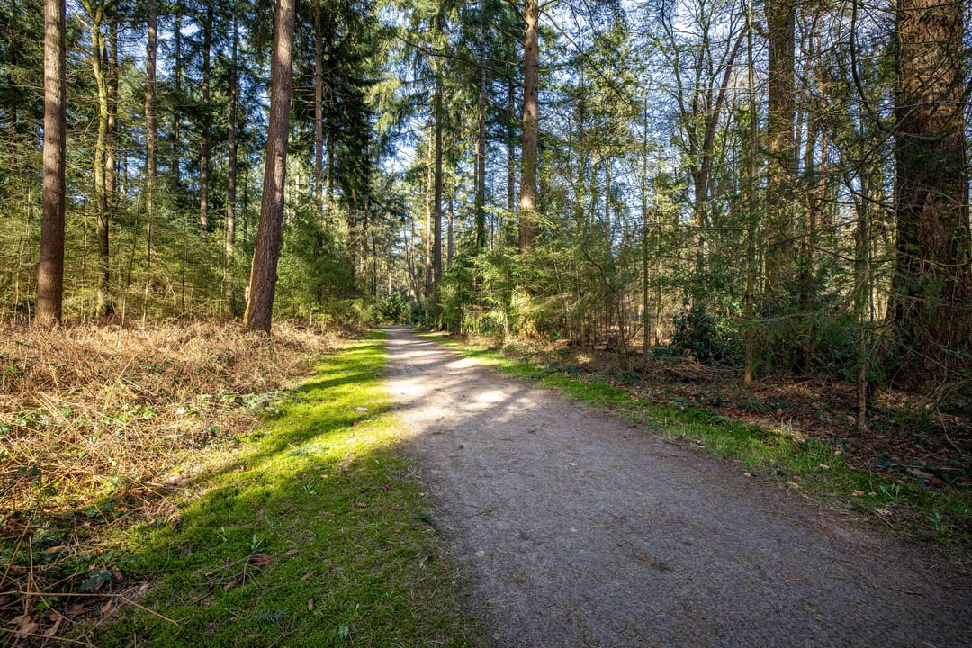 Foto 52 van Burg. Tonckensweg 7