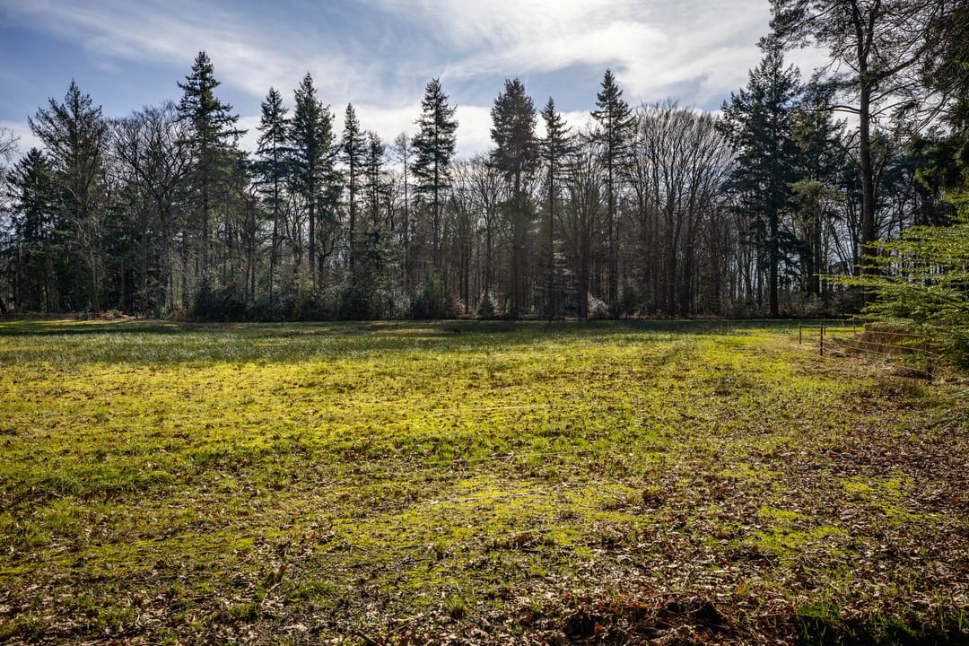 Foto 53 van Burg. Tonckensweg 7