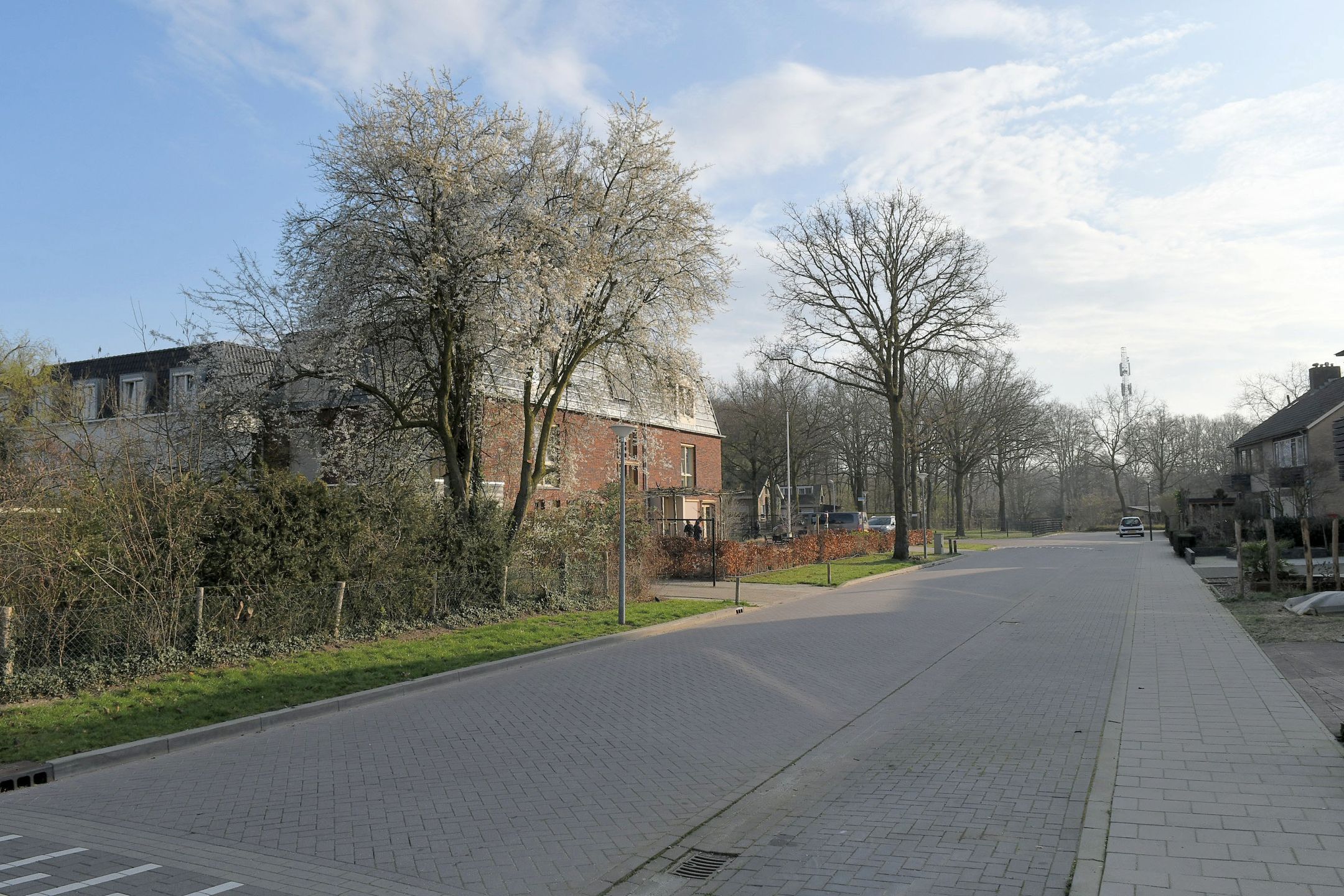 Foto 51 van Orgellaan 17